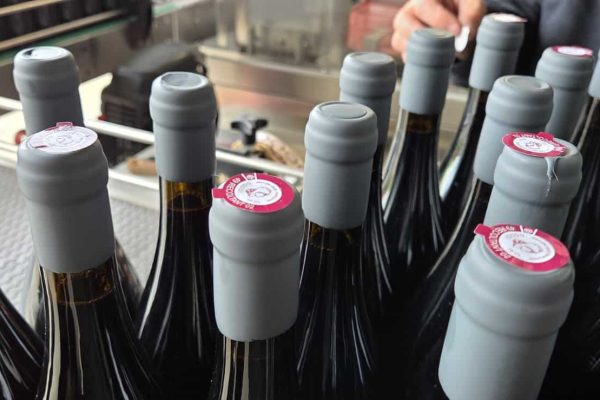 cirage bouteille saumur champigny galop d'essai la seigneurie saumur